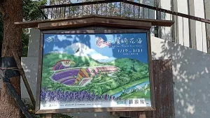 2023臺北市北投社三層崎花海