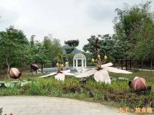 新威森林公園 南段公園 森林中的秘密花園