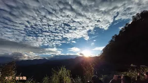 阿里山 特富野古道 拜訪鹿林神木 自忠登山口觀景臺 看日出