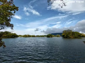 【北海道景點】大沼國定公園，新日本三景之一湖島群 | 湖光風景 | 函館景點 | 日本旅遊景點推薦