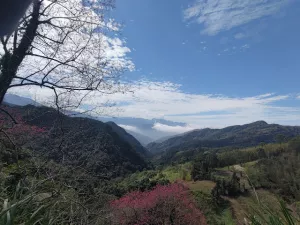 【遊記】輕鬆享受森林芬多精 (北橫公路)，東眼山國(guó)家森林遊樂區(qū) - 大漠國(guó)渡