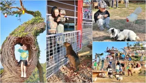 萌寵樂園酷耶！10多種動物明星齊聚一堂，近距離觀賞拍照完全適合！想吃飯.拍拖.看270度夜景～大人小孩都適合的親子景點