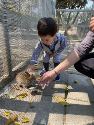 臺中市大雅區【臺中親子農場推薦】餵食兔兔、和鴕鳥拍照！評比 3 間中部親子農場，親子周末出遊好選擇