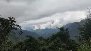 【遊記】不期而遇的踏雨游溪，老鷹溪步道 - 大漠國渡