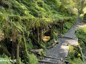 宜蘭太平山必遊景點(diǎn)【見(jiàn)晴懷古步道】獲CNN評(píng)選全球28條最美小徑之一，青苔滿佈舊鐵道，陰晴皆美四季風(fēng)情各異，也是太平山最好走的森林步道，你來(lái)過(guò)了嗎?