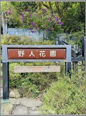 陽(yáng)明山 ? 野人花園