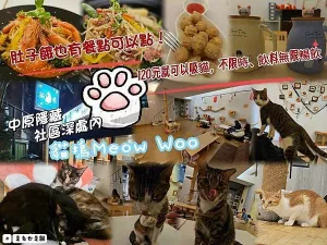 中原隱藏在社區深處內的貓塢Meow Woo！只要120元就可以吸貓，不限時、飲料無限暢飲~貓咪咖啡廳~