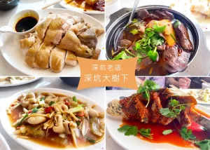 【深坑老街美食】深坑大樹下豆腐三吃(附菜單)，老街40年飄香的好味道，鴨血豆腐口感細嫩｜Ruby說美食享受旅行(@tour_ruby530)