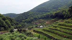 臺北｜北投慢旅 ×?陽明山竹子湖，踏著健走步伐享受群山環(huán)繞，搭車擁抱美好的姿態(tài)