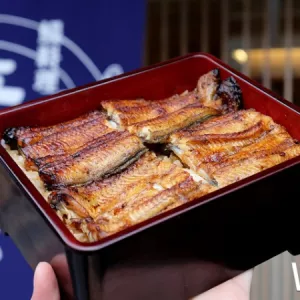 鰻魚(yú)飯半價(jià)一定要衝！京都老字號(hào)鰻魚(yú)飯「江戶川」超狂開(kāi)幕優(yōu)惠，鰻魚(yú)飯半價(jià)再送鰻魚(yú)飯買(mǎi)一送一券，就是要讓臺(tái)北鰻魚(yú)控吃到嗨。