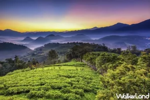 懂玩的不會錯過這裡！雲朗觀光集團整合推出「雲朗觀光國旅優惠」，君品、雲品、翰品、兆品、品文旅全部優惠一次全公開，現在開始玩國旅。