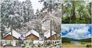 宜蘭臺七線上能走訪亞洲最大千年神木群，走進明池、太平山體驗高山湖泊、森林神木如仙境般的美景，有機會還能遇見雪喔。