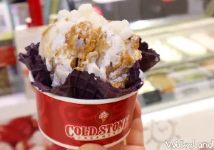 芋泥冰淇淋很可以！COLD STONE推出「芋頭好麻吉」大甲芋頭花生麻糬冰淇淋，夢幻紫色「芋香脆餅、芋香甜筒」讓芋頭控吃到瘋掉。