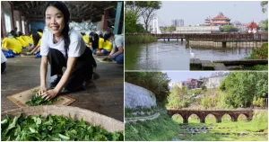 從百年製茶大廠漫遊桃園龍潭，穿梭埤塘之間欣賞大橋小橋美景，還有道地客家小吃可以品嚐。