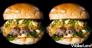 日本龍漢堡來了！日本京都「龍漢堡 Dragon Burger 」快閃臺北12天，冠軍可可漢堡、經(jīng)典龍漢堡、柚子胡椒漢堡、松露藍(lán)紋起司漢堡，漢堡控不能錯過。