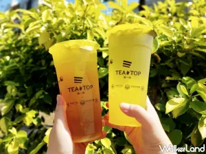 第二杯半價！TEA TOP「轟蜜蕎麥」甜蜜1+1第二杯半價，期間限定「轟蜜茶」系列指定飲品第二杯半價優(yōu)惠。