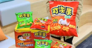 可樂果零食箱！限定版「可樂果icash經典套組」網路獨家開賣，巨無霸可樂果抱枕、縮小版可樂果icash一次擁有。