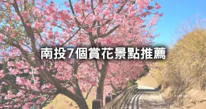 賞櫻花秘境快跟上！限時搶拍「南投7個賞花點」攻略先收，隱藏版「夢幻雪白森林、粉紫花?！笽G打卡不能少。