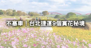 不塞車賞花秘境！臺北限定「9個捷運賞花地圖」0元門票就能拍，內湖繡球花海、北車日式梅園、櫻花步道搭捷運去。