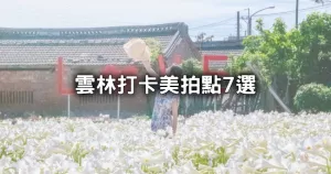 誰說雲林沒美景！精選5大雲林景點「360度觀景平臺、上千株雪白花海」IG網美每年必拍。