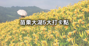 苗栗大湖5大打卡景點！洗版IG「金針花海、綠藤古堡景觀餐廳」只採草莓不懂玩。