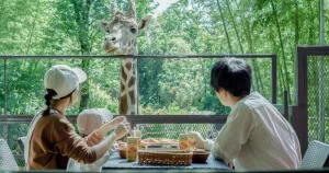 動物園X豪華露營「THE BAMBOO FOREST」，再推「長頸鹿共進早餐」企劃！早餐時光救與長頸鹿來場近距離約會吧。