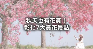 誰(shuí)說(shuō)秋天只有楓葉！彰化7個(gè)「秋季私藏賞花景點(diǎn)」全攻略，粉花河畔倒影、雪白花海秘境搶先看。