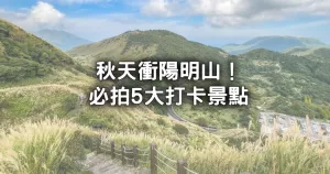 不只芒花好拍！陽明山5大「必拍秋季景點」推薦，隱藏版青楓步道、黃金楓花園全要拍。