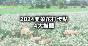 2024韭菜花打卡點！浪漫九月雪4大韭菜花田先筆記，不只大溪韭菜花節，彰化幸福韭韭、花蓮吉安韭帶你衝。