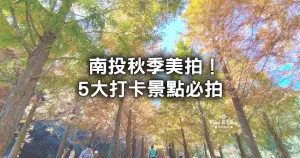 南投秋季景點5大攻略！秋季必拍「最美銀杏森林步道、楓葉園區(qū)」搶先看。