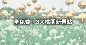 桃園3大免費新景點！大溪人、龜山人搶著拍「3層樓高烏龜、3000坪九月雪花?！箍扉W限定。