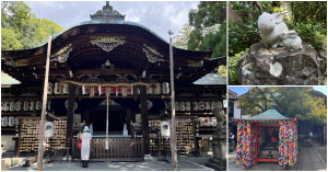 來京都怎能不參拜！八坂庚申堂求圓滿、河合神社求美麗、岡崎神社求安產(chǎn)都是專為女性祈願而生的神社，安井金比羅宮還能求斬斷惡緣。