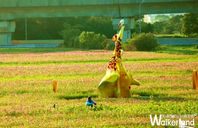 2017桃園花彩節楊梅展區