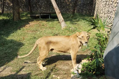 Shou Shan Zoo 壽山動物園