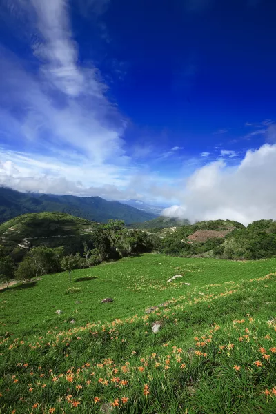 太麻里金針山