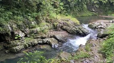 金瓜寮魚蕨步道