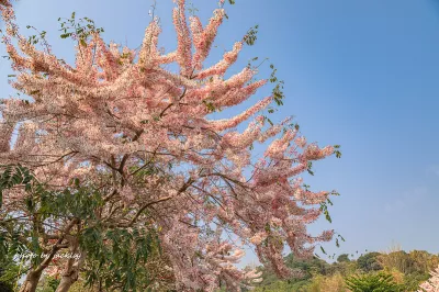 嘉義竹崎親水公園