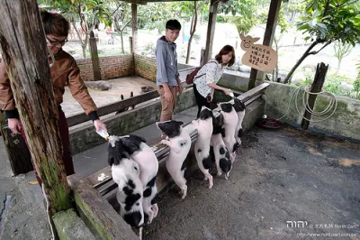 宜農牧場