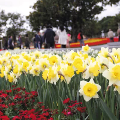 圓山公園區