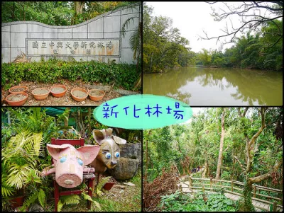 新化國家植物園（新化林場）