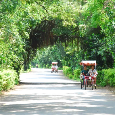 新屋綠色隧道(綠色走廊)