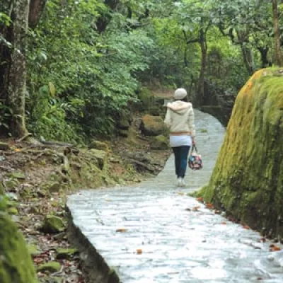 鯉魚(yú)山步道