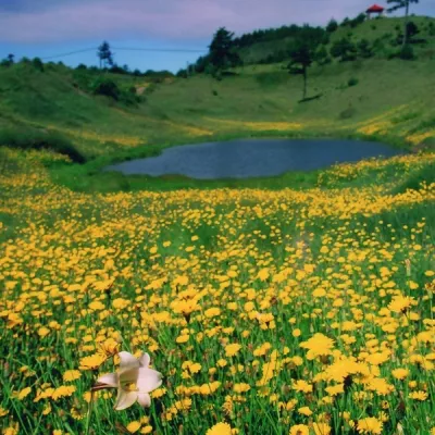 福壽山農場