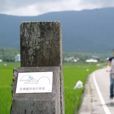 池上環圳車道