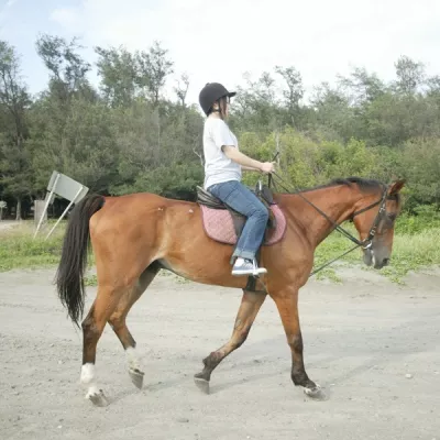 漁光騎馬場