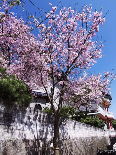 東方寺