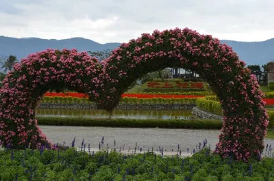 池上花海