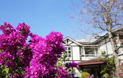 後頭厝餐廳