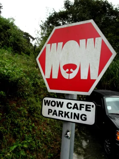 WOW Cafe