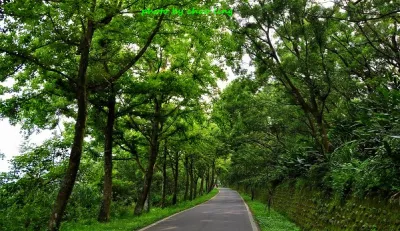 鳶山登山步道